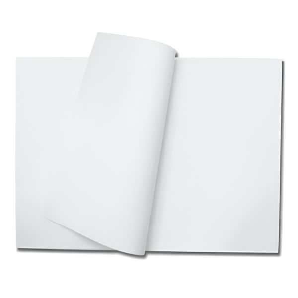 奉書紙 新白雲 11.3K(厚口)柾判 394×530mm - 画像 (2)